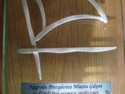 Nagrody i Wyróżnienia